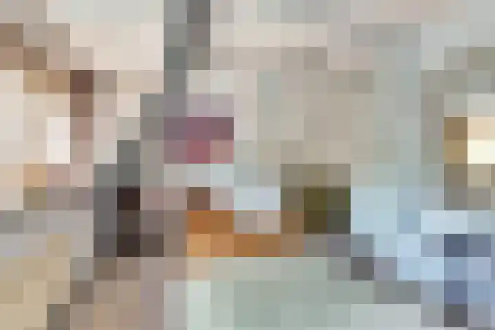 Kadal 10 St.-Jacobiparochie thumbnail 28