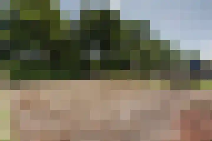 Kadal 10 St.-Jacobiparochie thumbnail 33