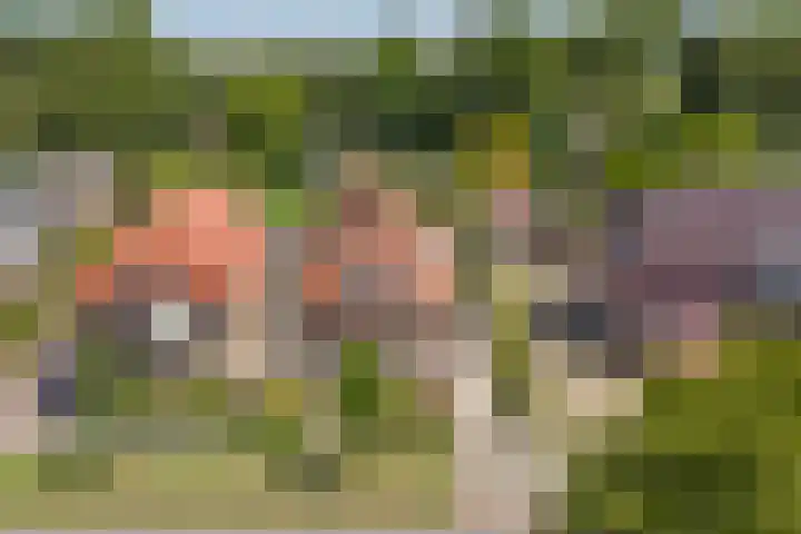 Kadal 10 St.-Jacobiparochie thumbnail 39