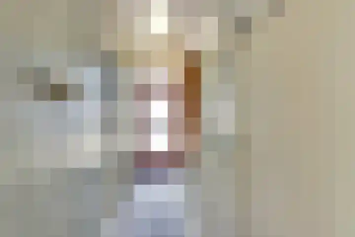 Kadal 10 St.-Jacobiparochie thumbnail 9
