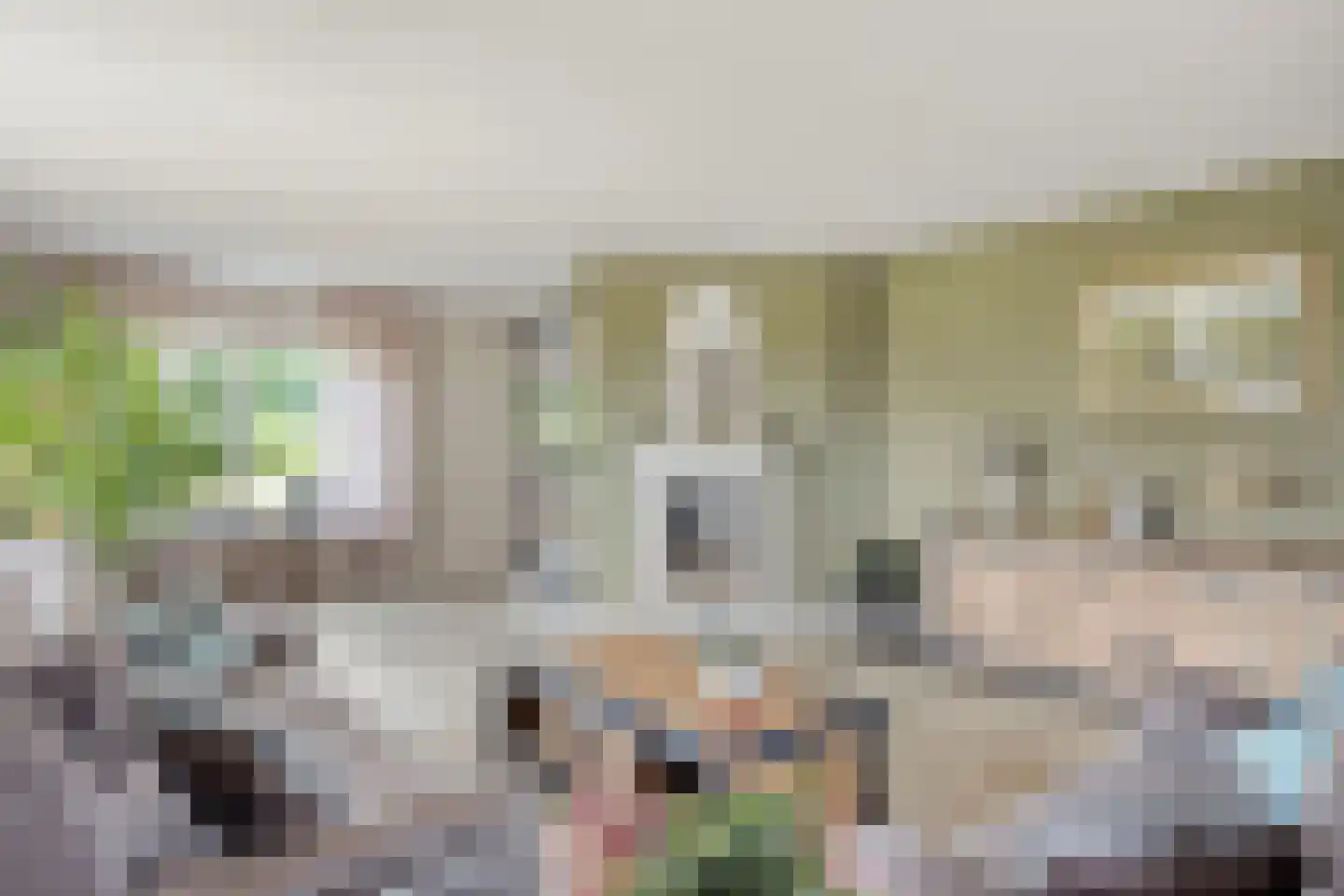 Kade 14 De Klomp thumbnail 16