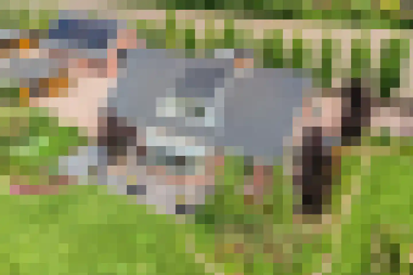 Kade 14 De Klomp thumbnail 4