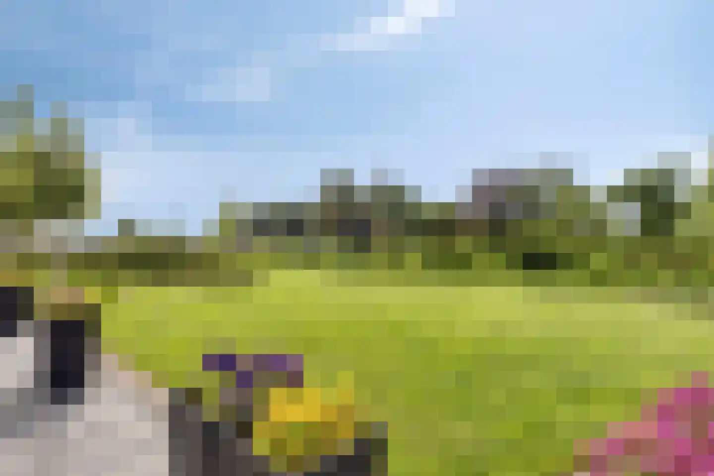 Kade 14 De Klomp thumbnail 44