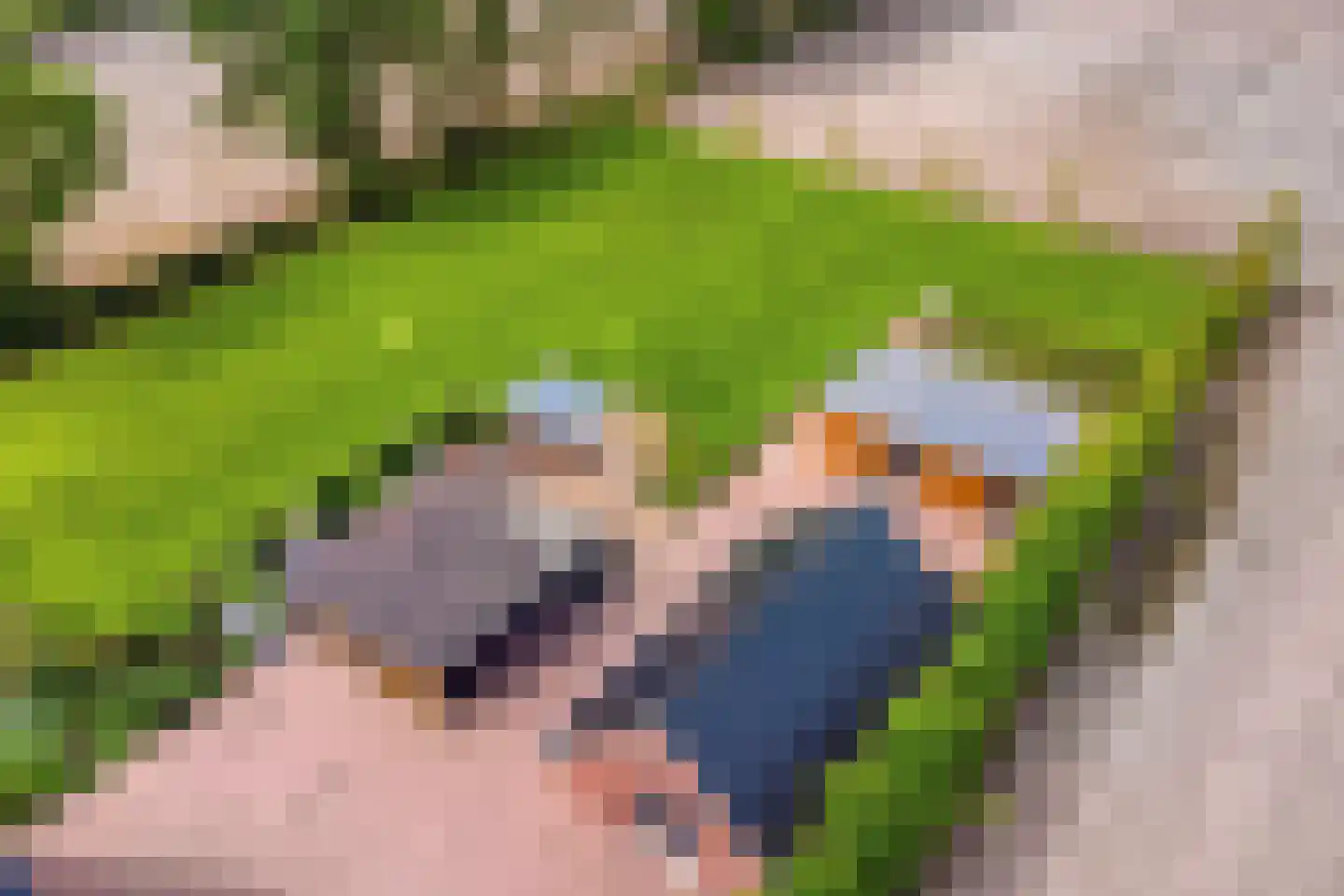 Kade 14 De Klomp thumbnail 47