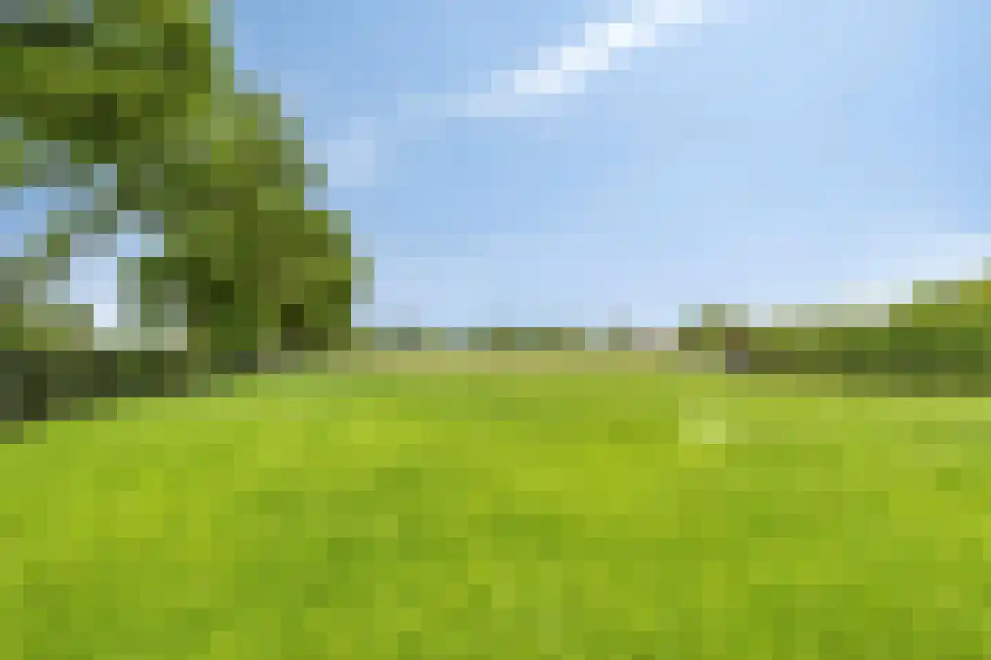 Kade 14 De Klomp thumbnail 52