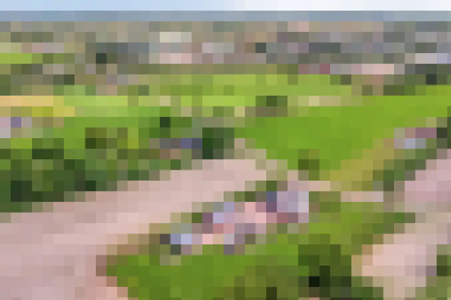 Kade 14 De Klomp thumbnail 6