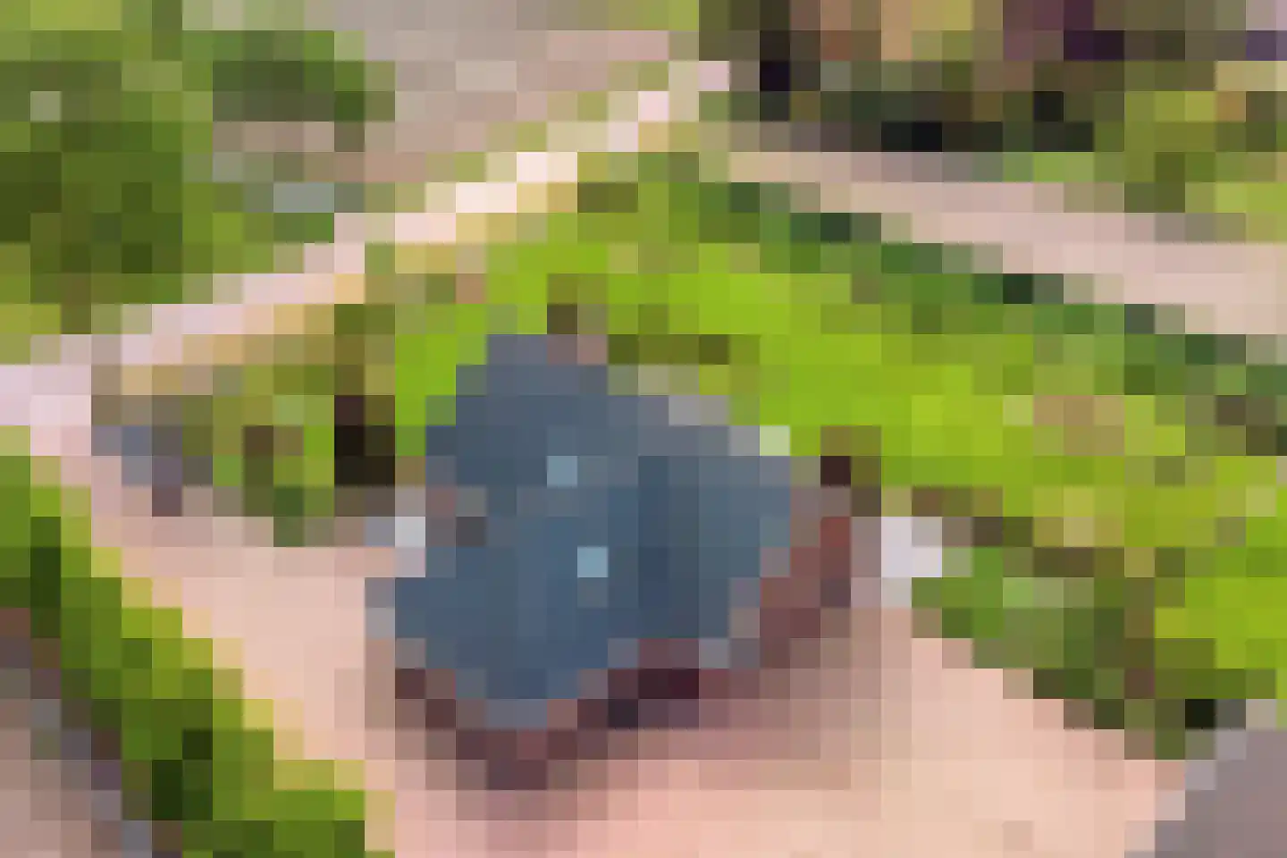 Kade 14 De Klomp thumbnail 8