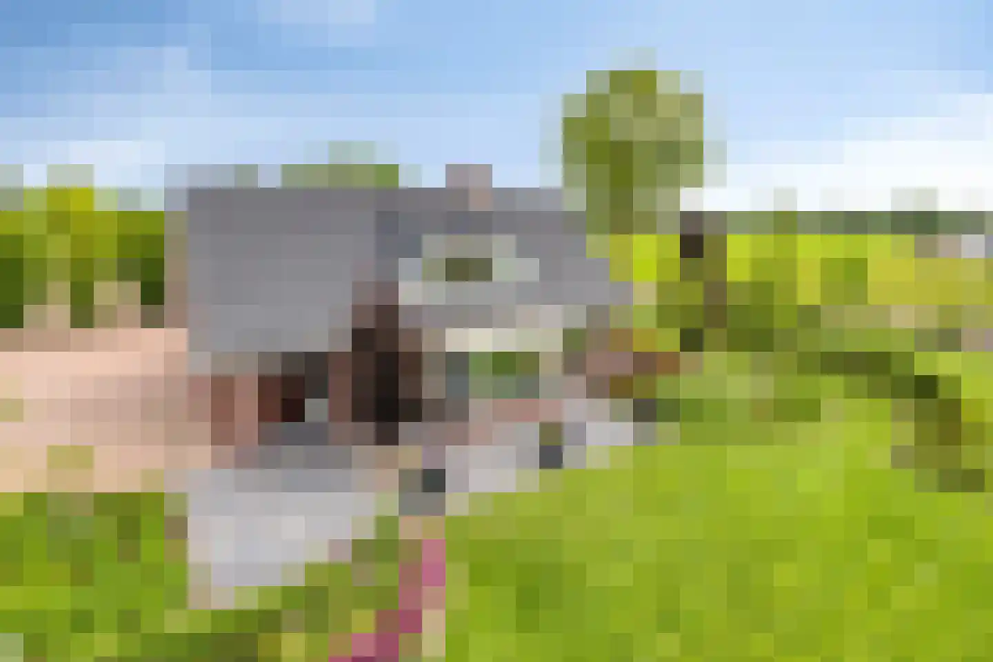 Kade 14 De Klomp thumbnail 9