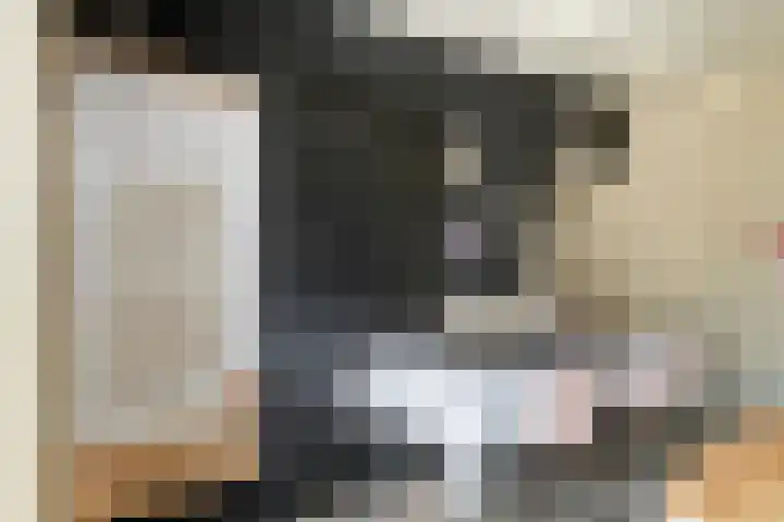 Kade 14 Dinteloord thumbnail 10