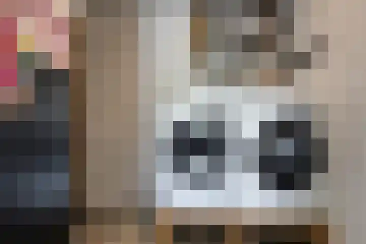 Kade 14 Dinteloord thumbnail 18