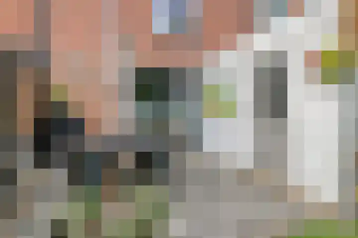 Kade 14 Dinteloord thumbnail 31
