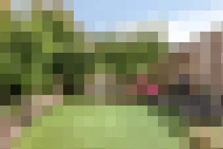 Kade 14 Dinteloord thumbnail 33