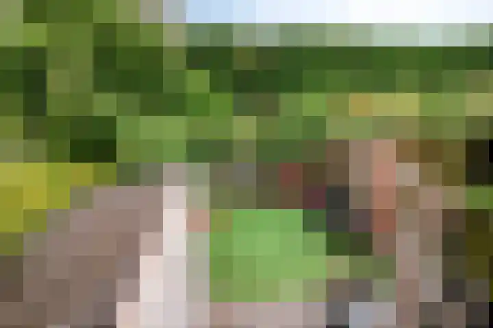 Kade 14 Dinteloord thumbnail 36