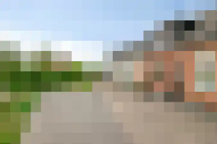 Kade 14 Dinteloord thumbnail 38