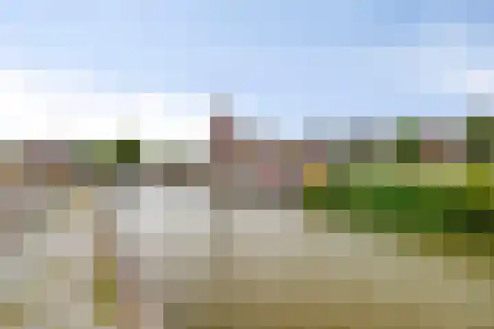 Kade 14 Dinteloord thumbnail 40
