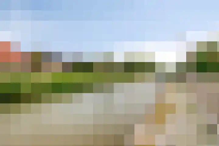 Kade 14 Dinteloord thumbnail 41
