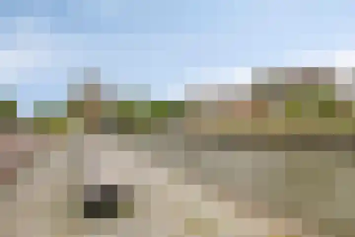 Kade 14 Dinteloord thumbnail 42