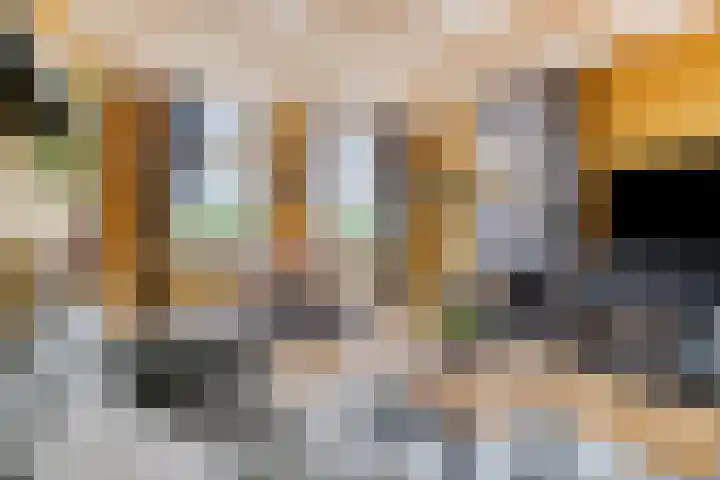 Kade 14 Dinteloord thumbnail 6
