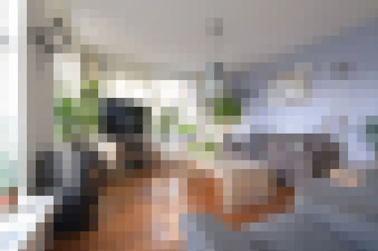 Kade 18 Vollenhove thumbnail 12