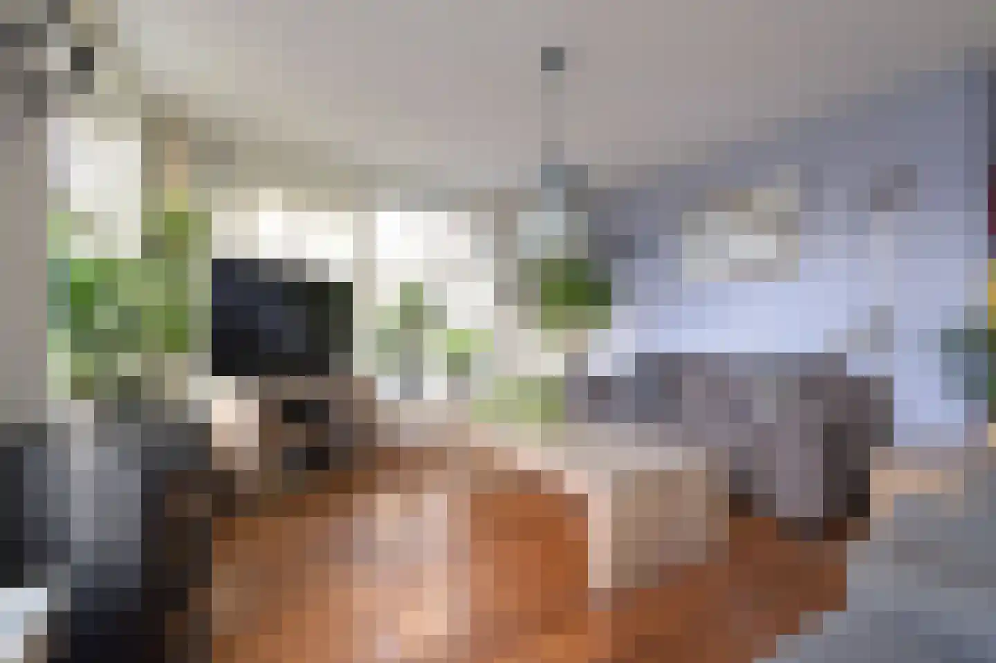 Kade 18 Vollenhove thumbnail 13