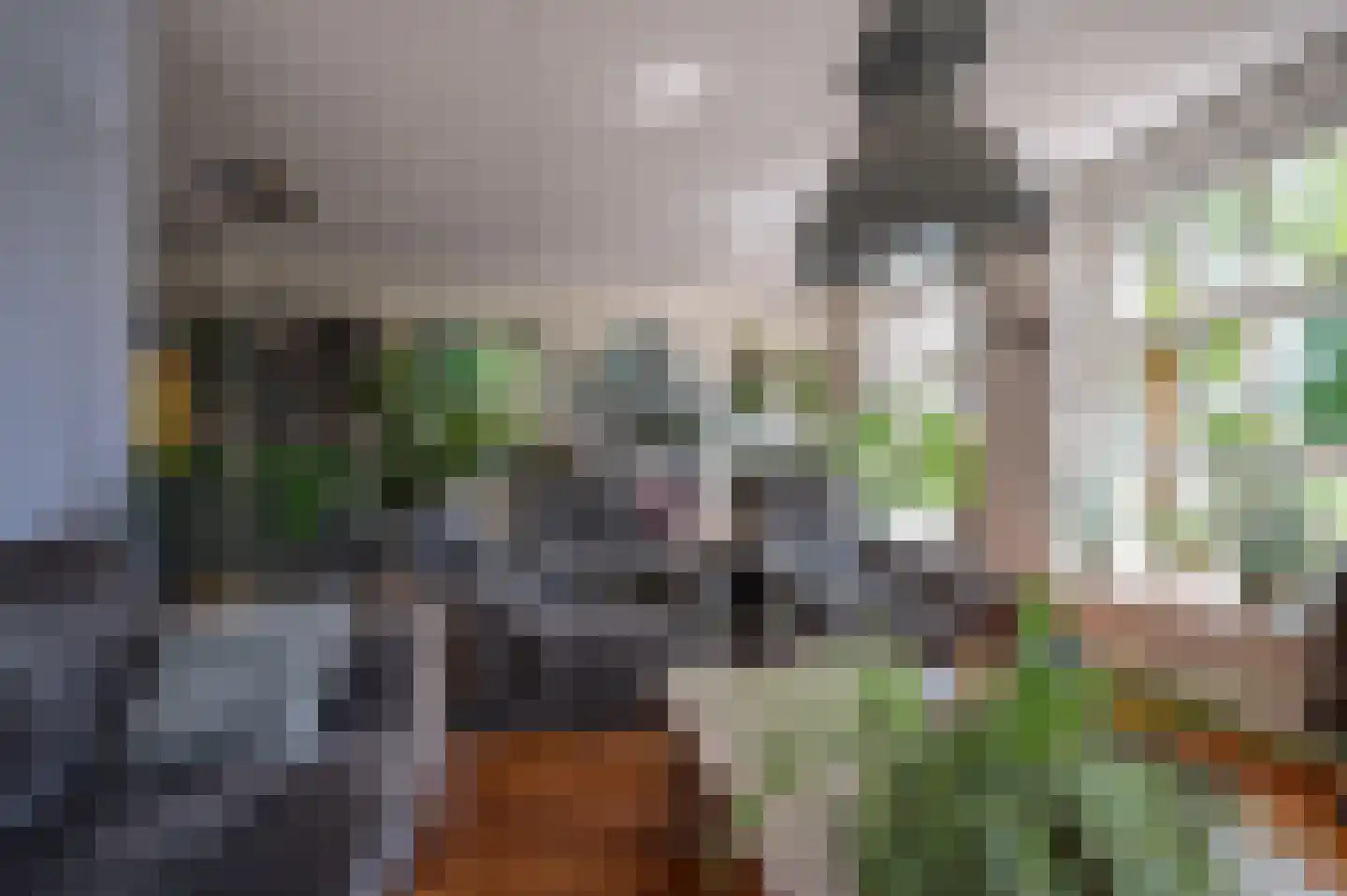 Kade 18 Vollenhove thumbnail 15