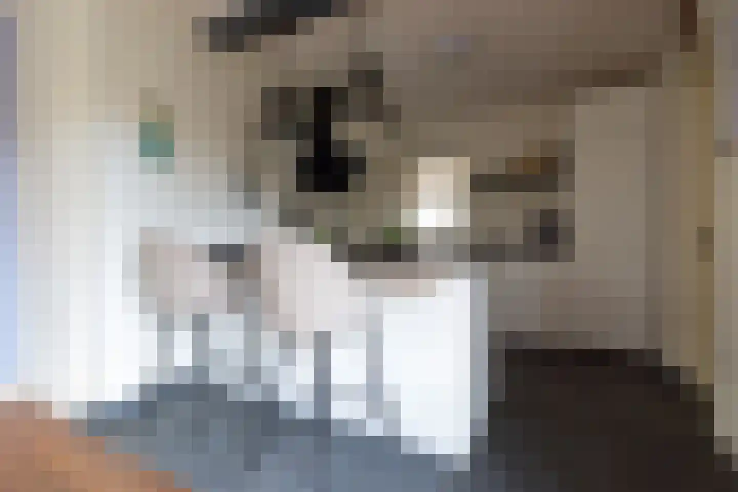 Kade 18 Vollenhove thumbnail 17