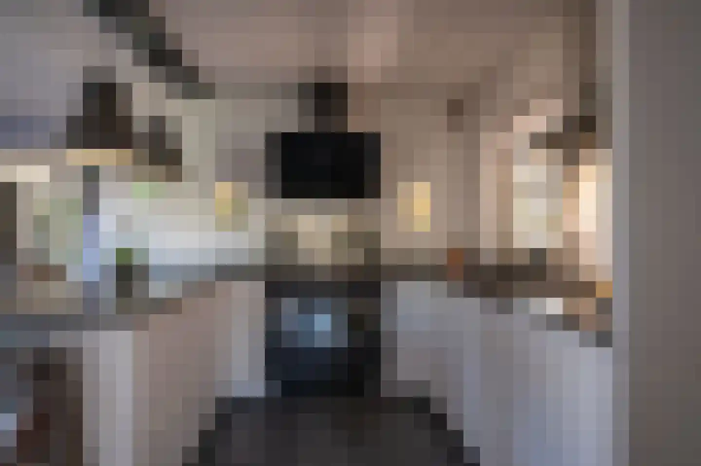 Kade 18 Vollenhove thumbnail 20