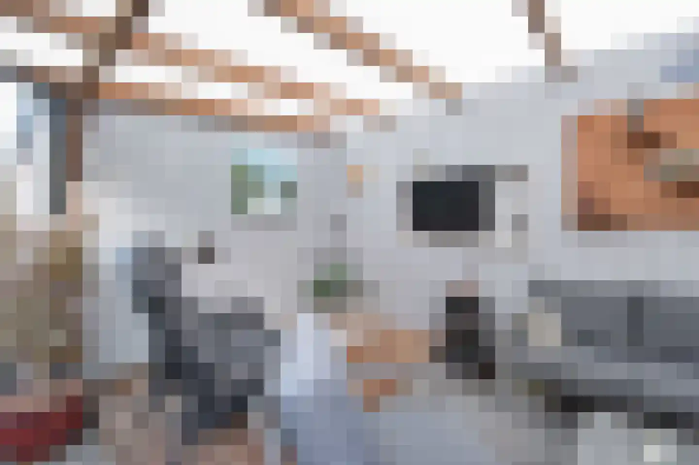 Kade 18 Vollenhove thumbnail 25