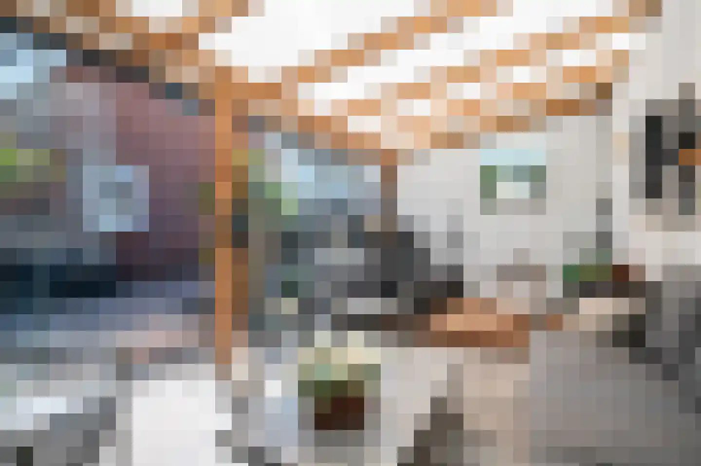 Kade 18 Vollenhove thumbnail 26