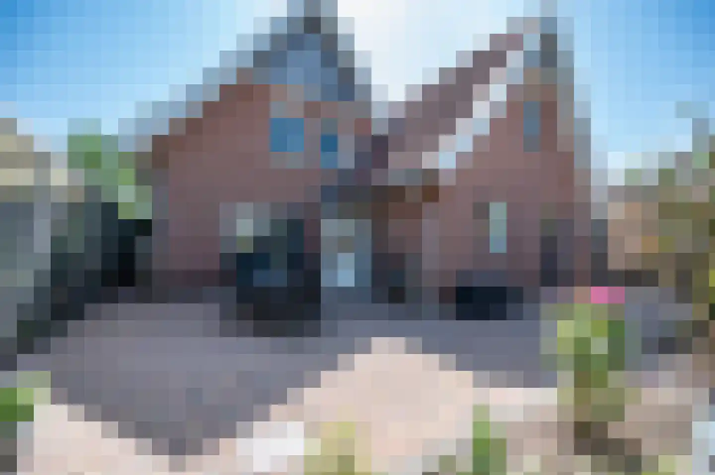 Kade 18 Vollenhove thumbnail 30