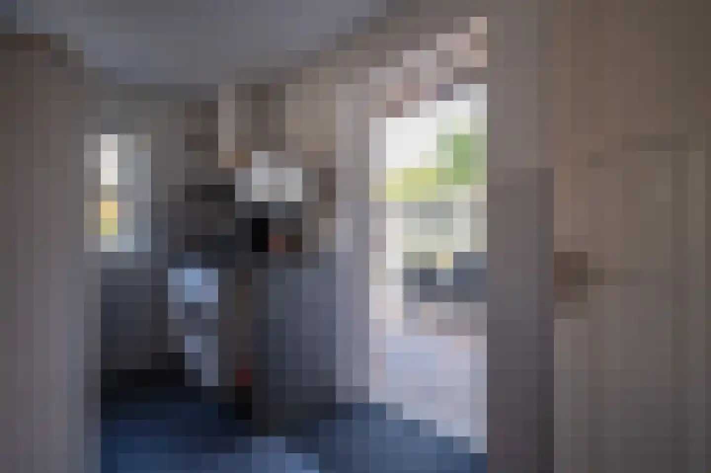 Kade 18 Vollenhove thumbnail 31