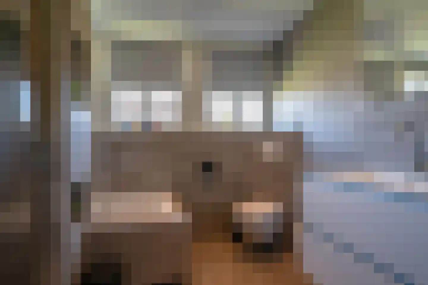 Kade 18 Vollenhove thumbnail 37
