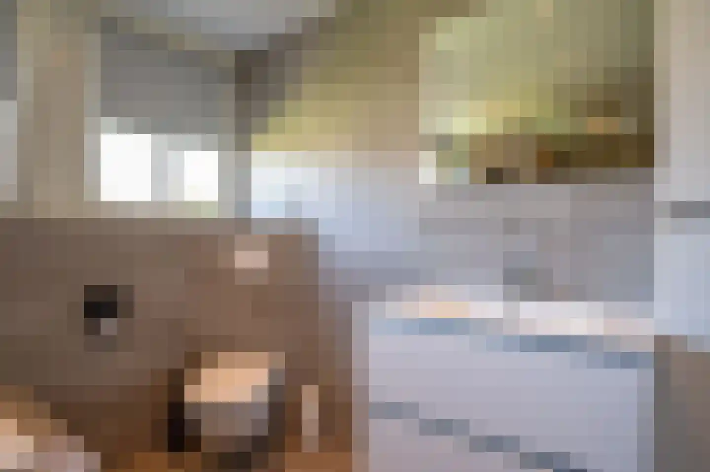 Kade 18 Vollenhove thumbnail 38