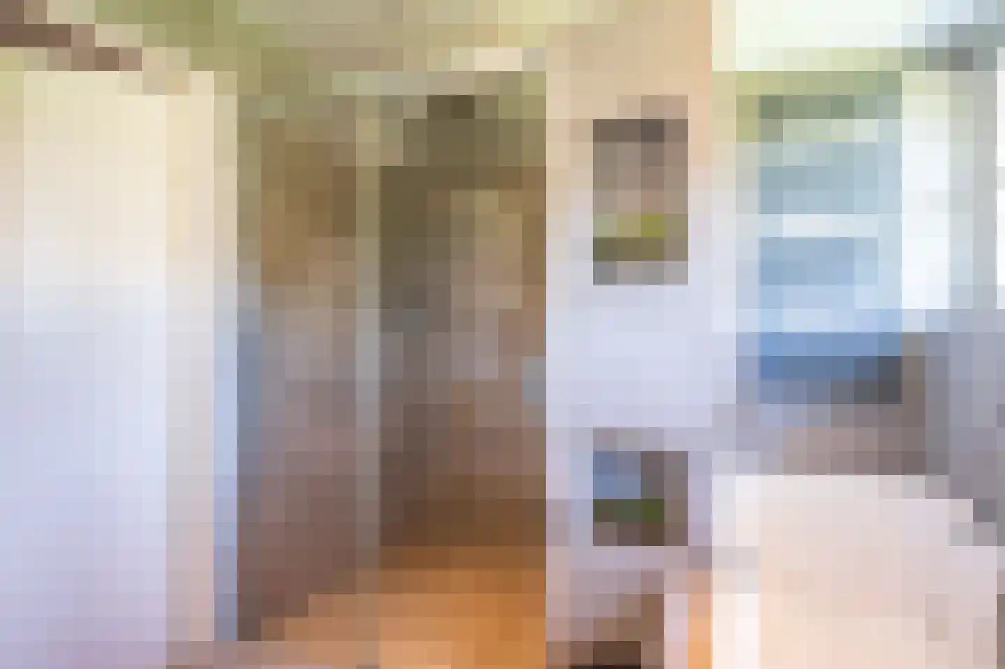 Kade 18 Vollenhove thumbnail 39