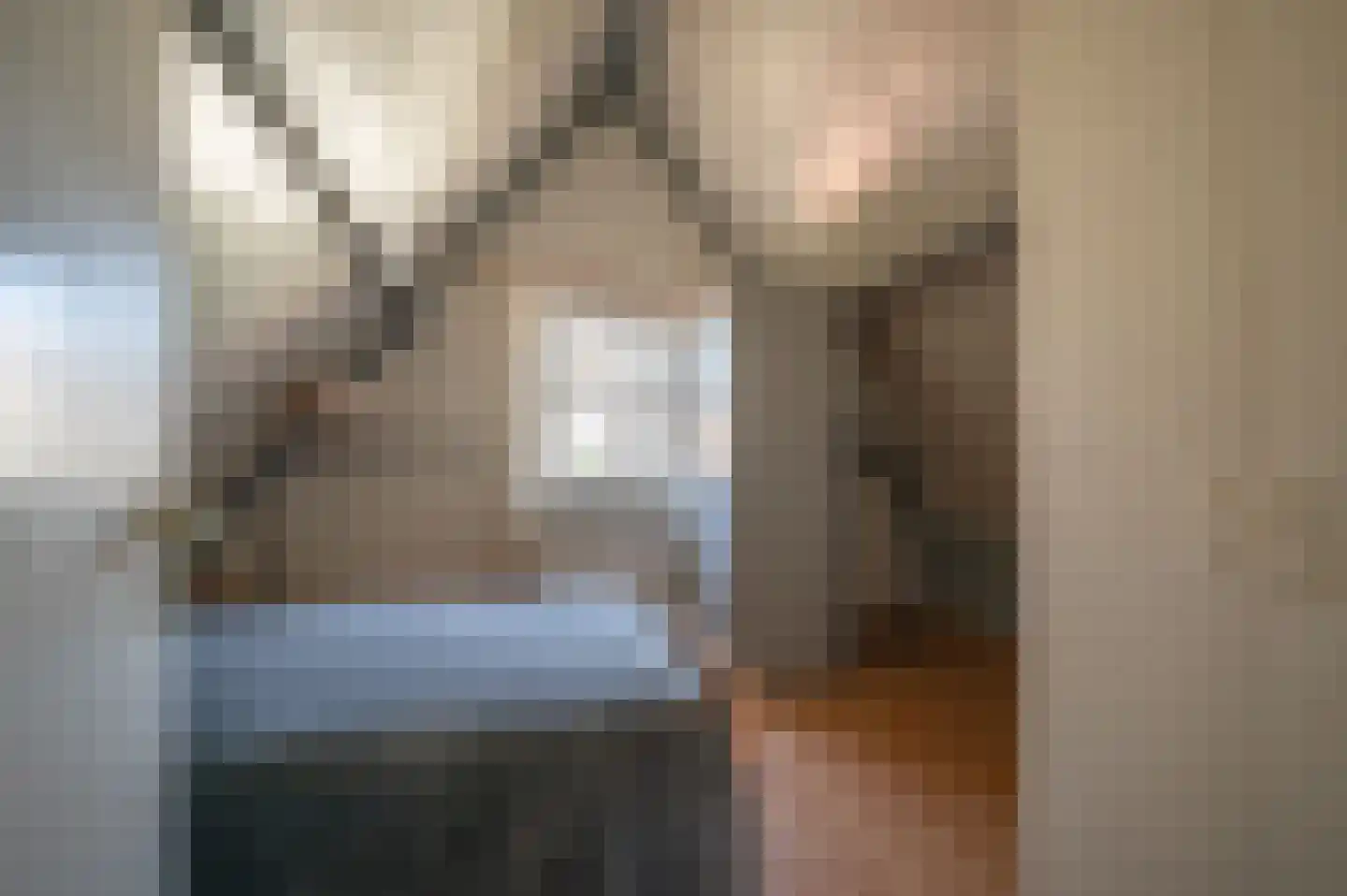 Kade 18 Vollenhove thumbnail 43