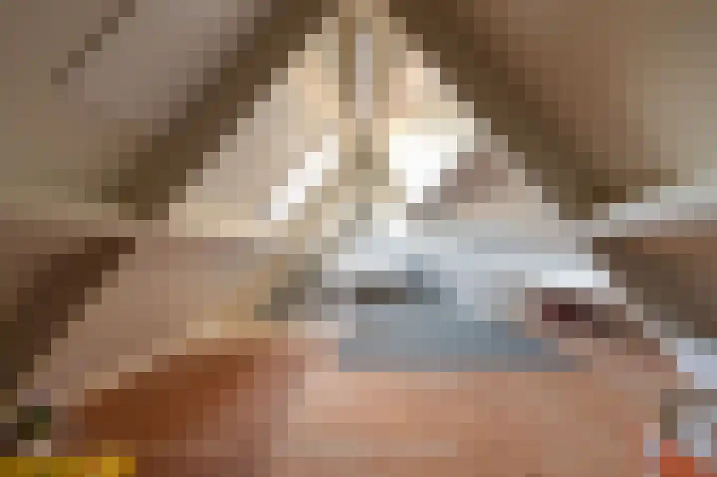 Kade 18 Vollenhove thumbnail 47
