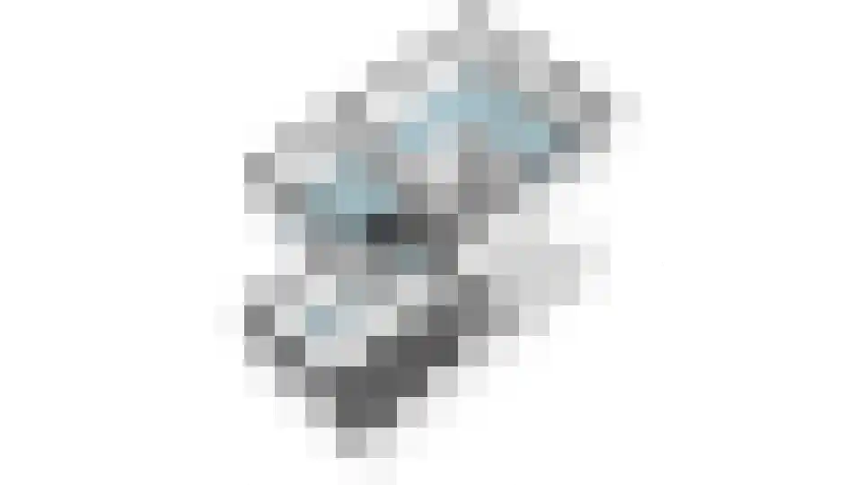 Kade 18 Vollenhove thumbnail 60
