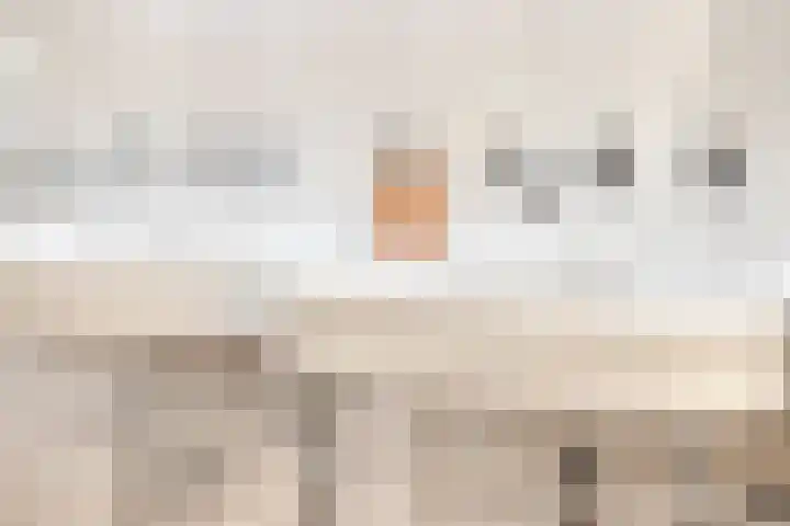 Kade 2 Den Bommel thumbnail 23