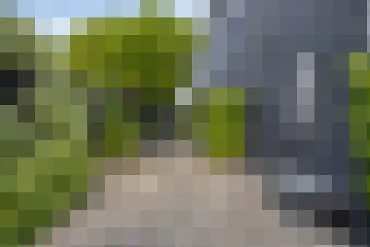Kade 2 Den Bommel thumbnail 32