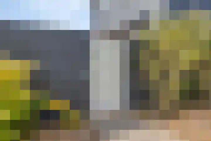 Kade 2 Den Bommel thumbnail 39