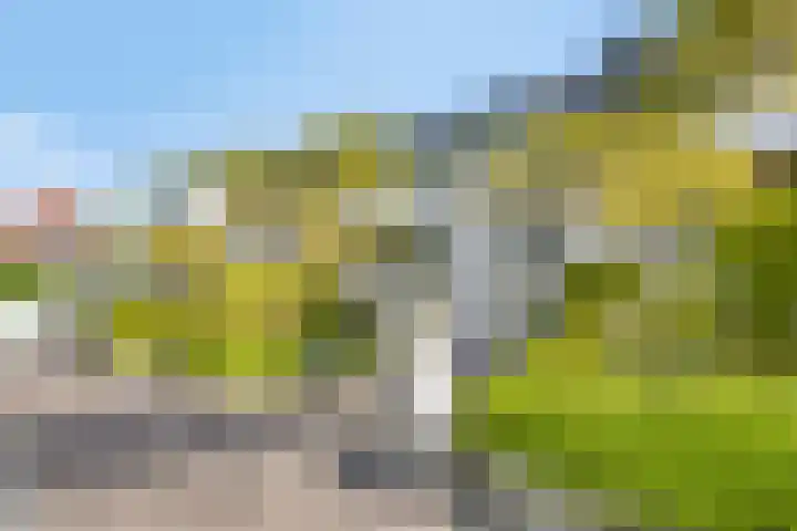 Kade 2 Den Bommel thumbnail 9