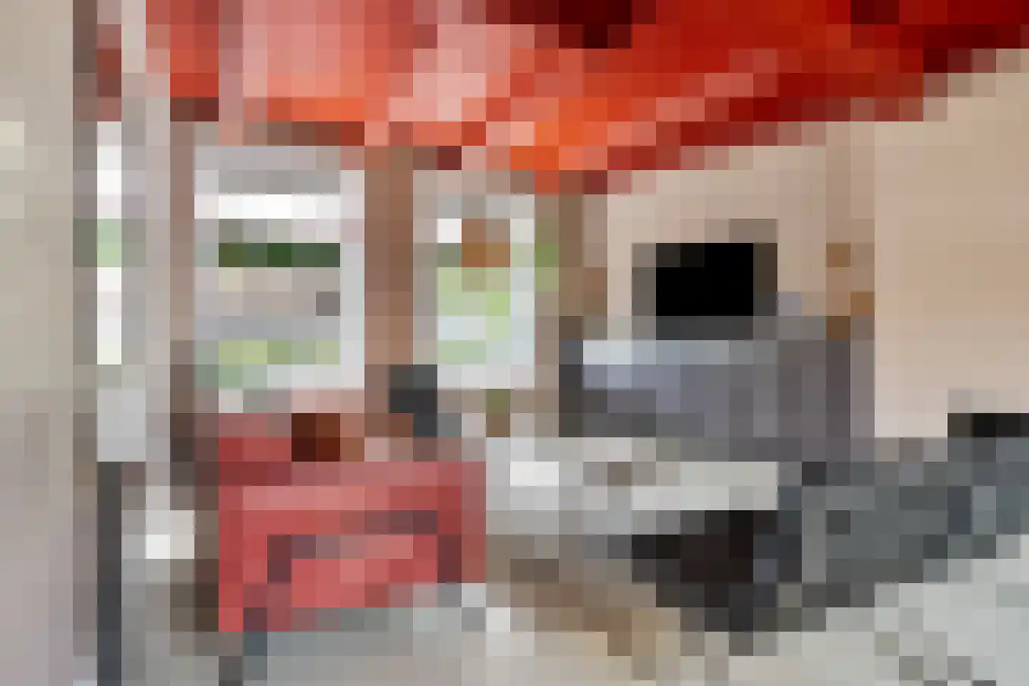 Kade 2 Piershil thumbnail 13