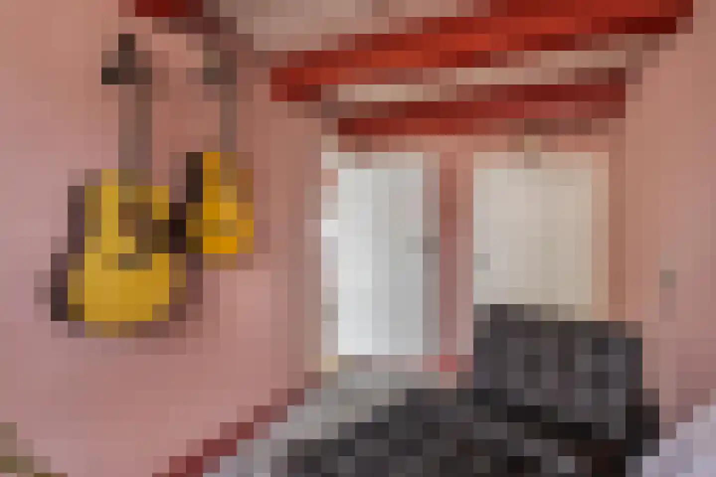 Kade 2 Piershil thumbnail 20