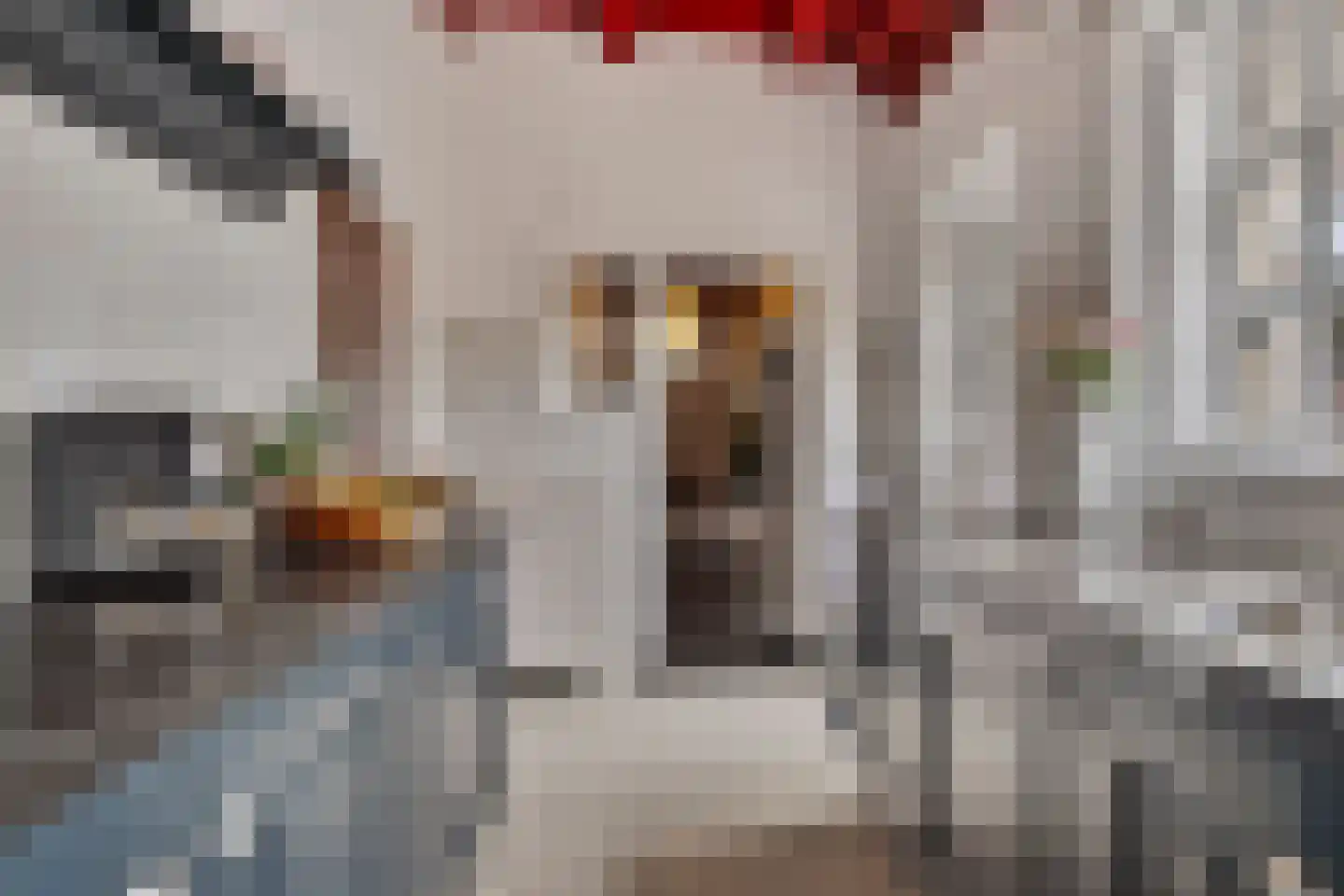 Kade 2 Piershil thumbnail 23