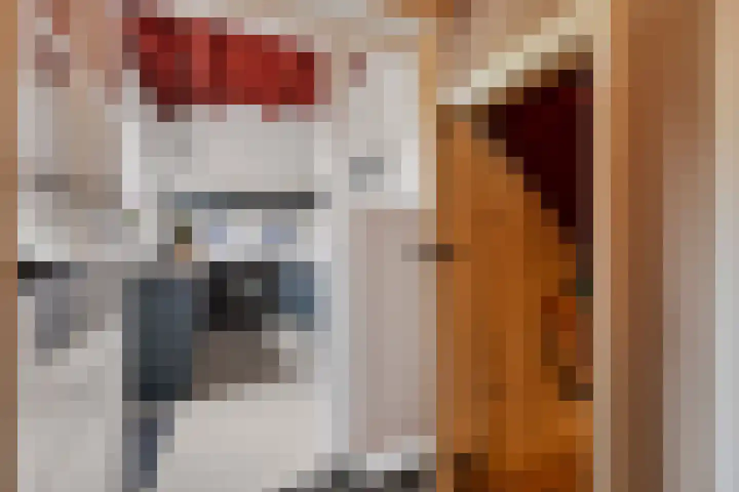 Kade 2 Piershil thumbnail 27
