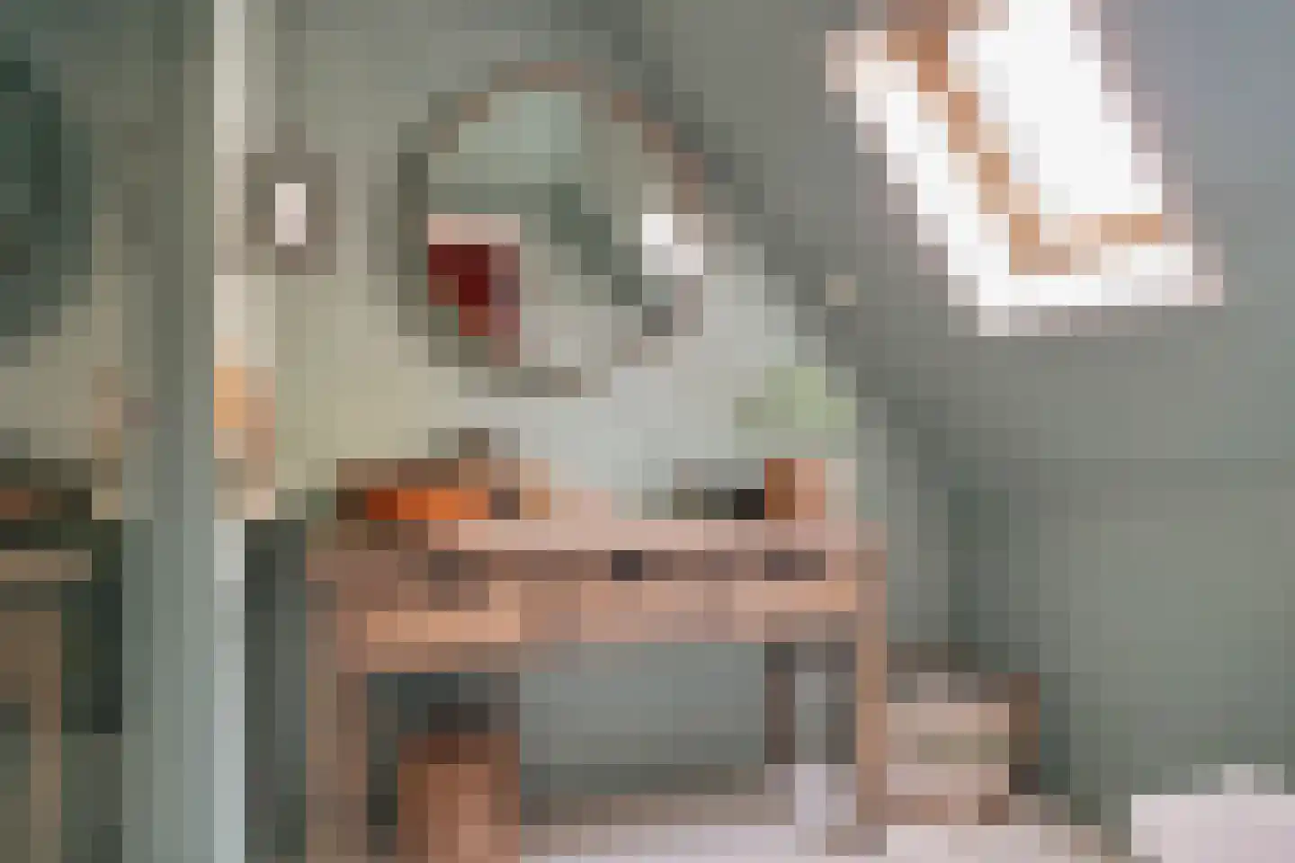 Kade 2 Piershil thumbnail 34