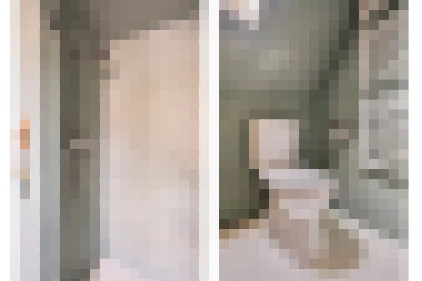 Kade 2 Piershil thumbnail 35