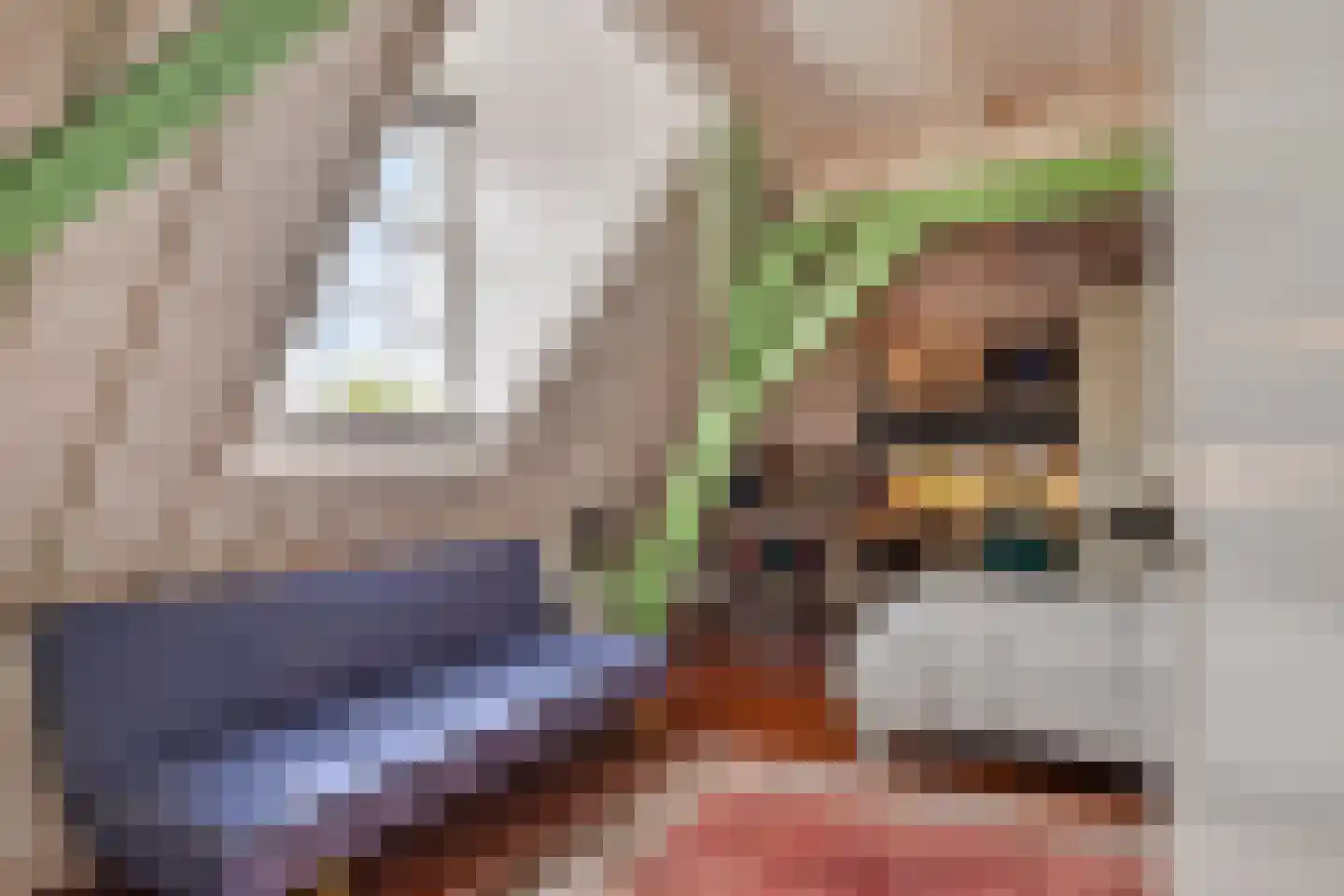 Kade 2 Piershil thumbnail 36