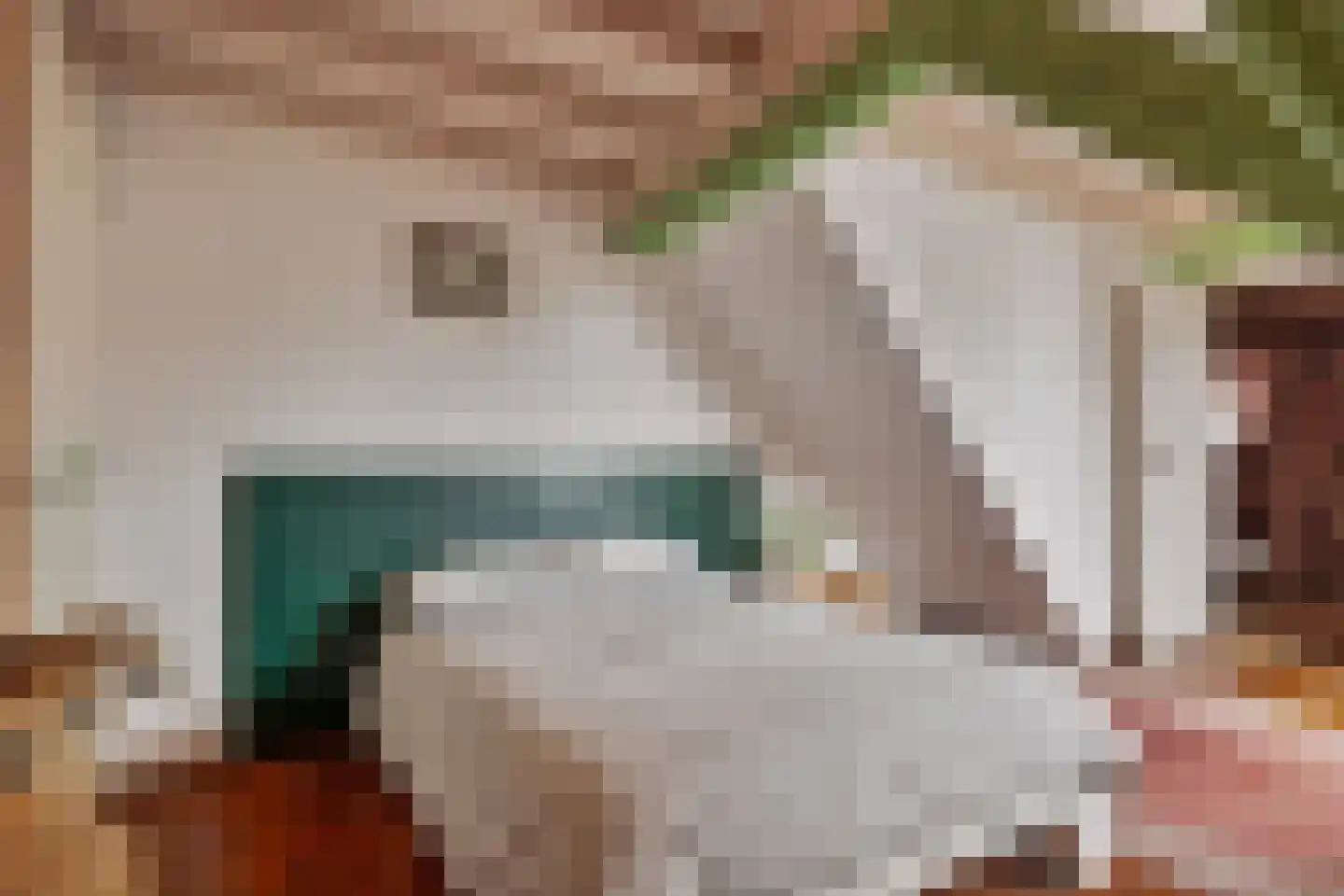 Kade 2 Piershil thumbnail 37