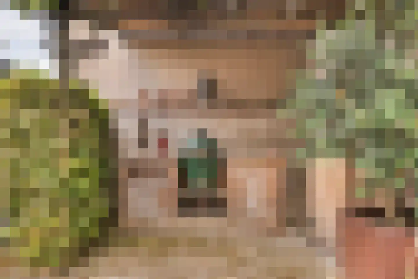 Kade 2 Piershil thumbnail 47